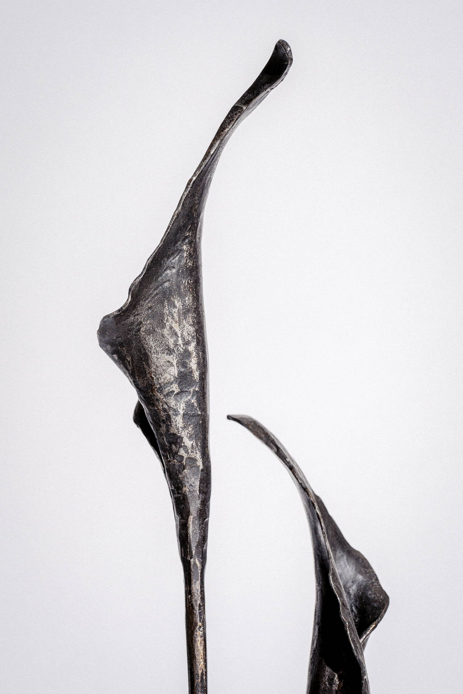Forged flower "Calla"
