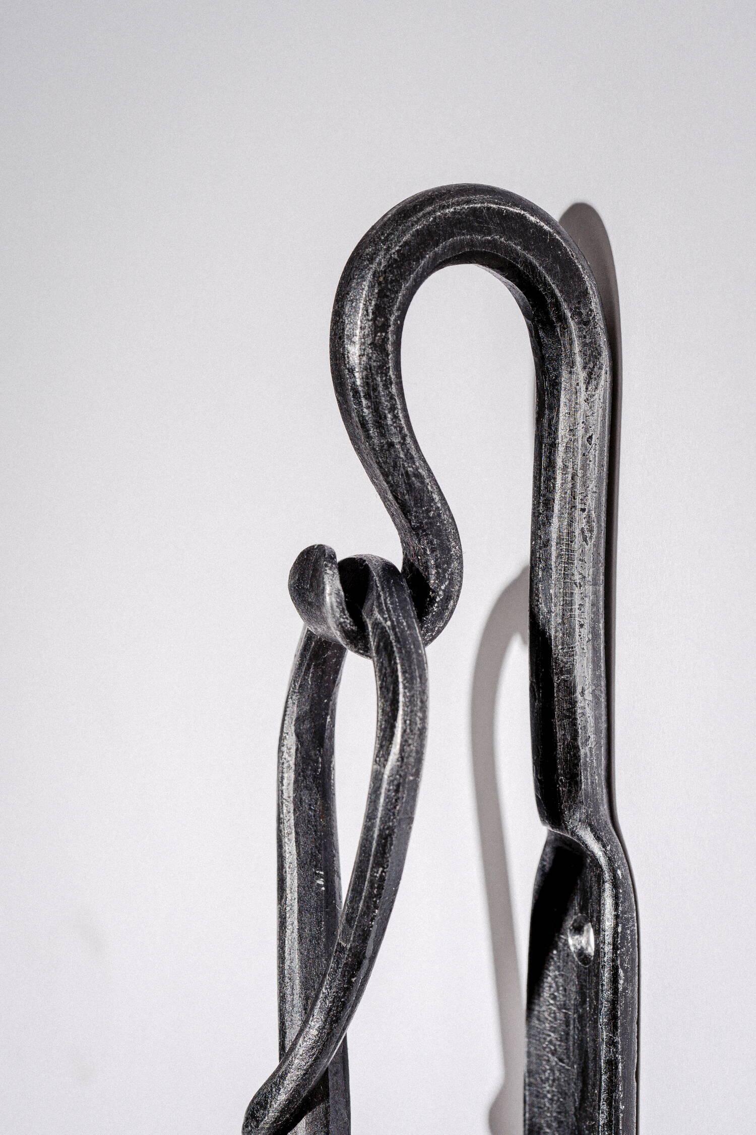 Shoehorn with holder