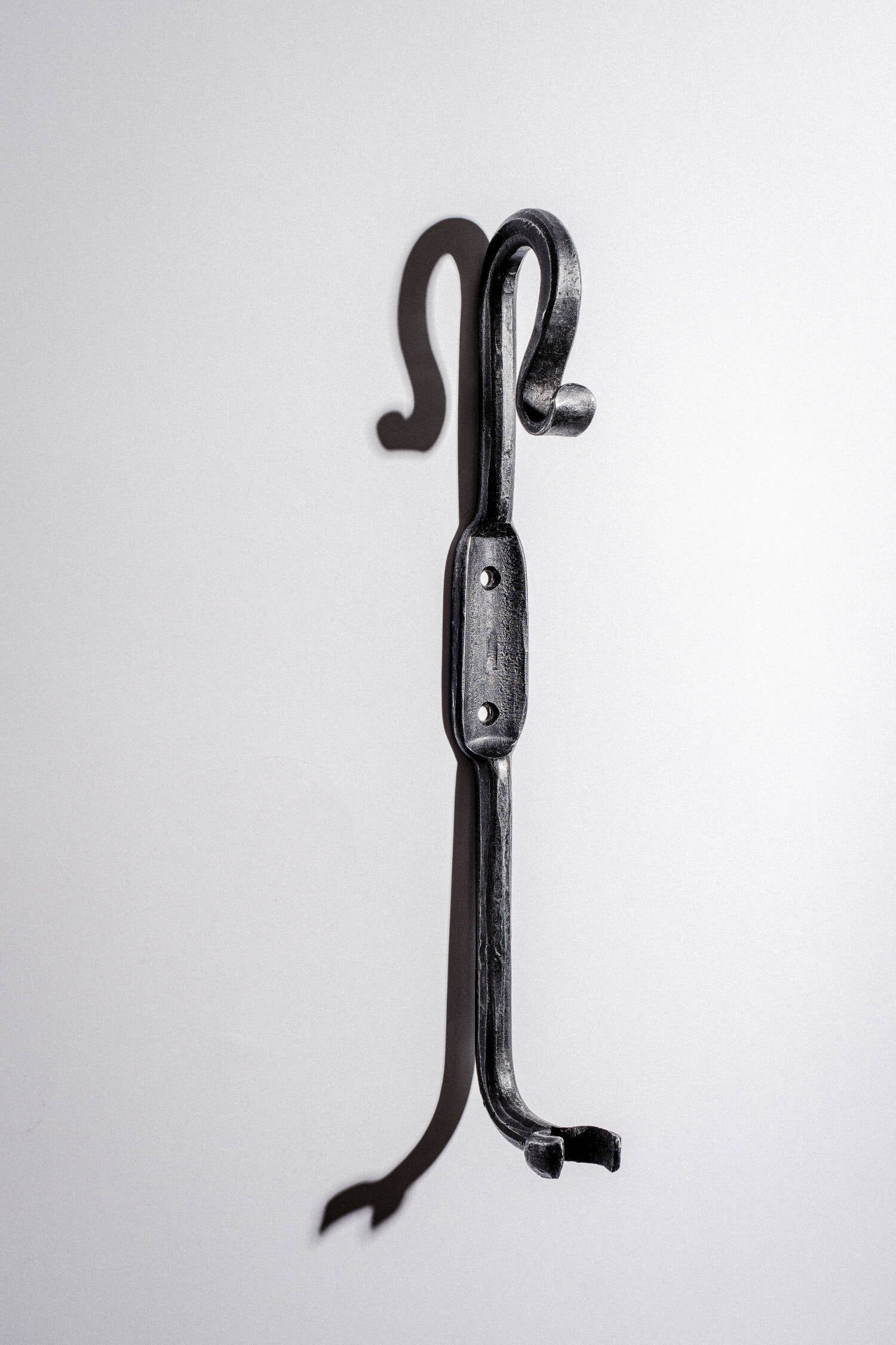 Shoehorn with holder