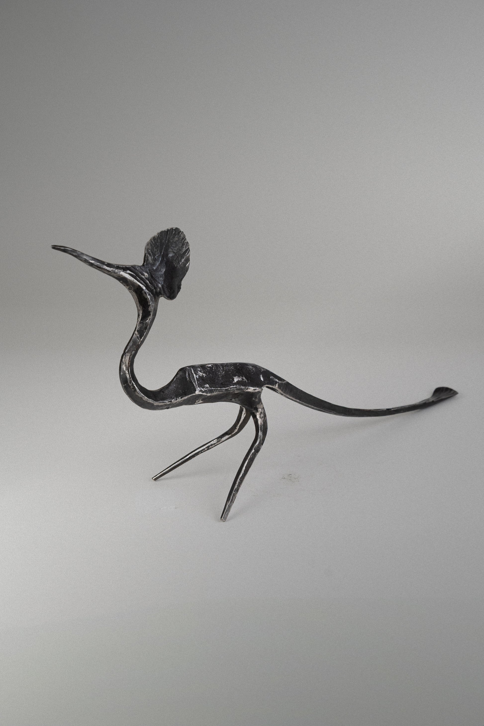 Forged long shoehorn with wall screw