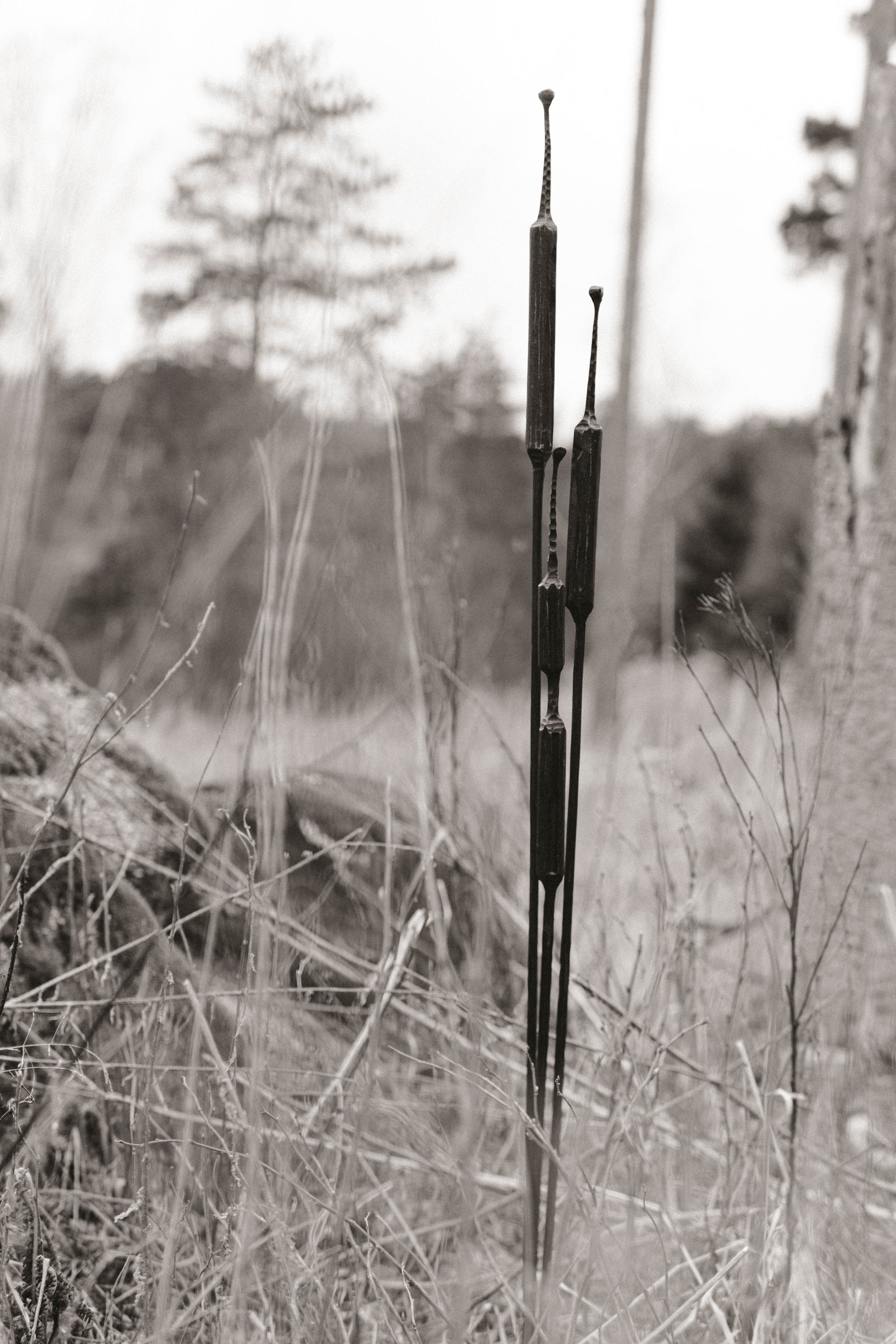 Geschmiedete Blume "Rohrkolben"
