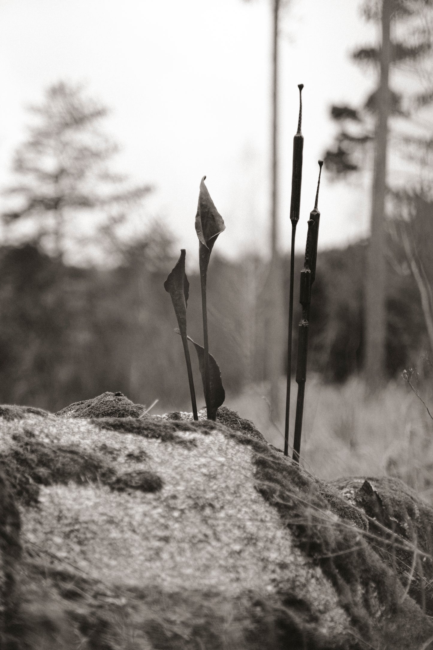 Geschmiedete Blume "Calla"