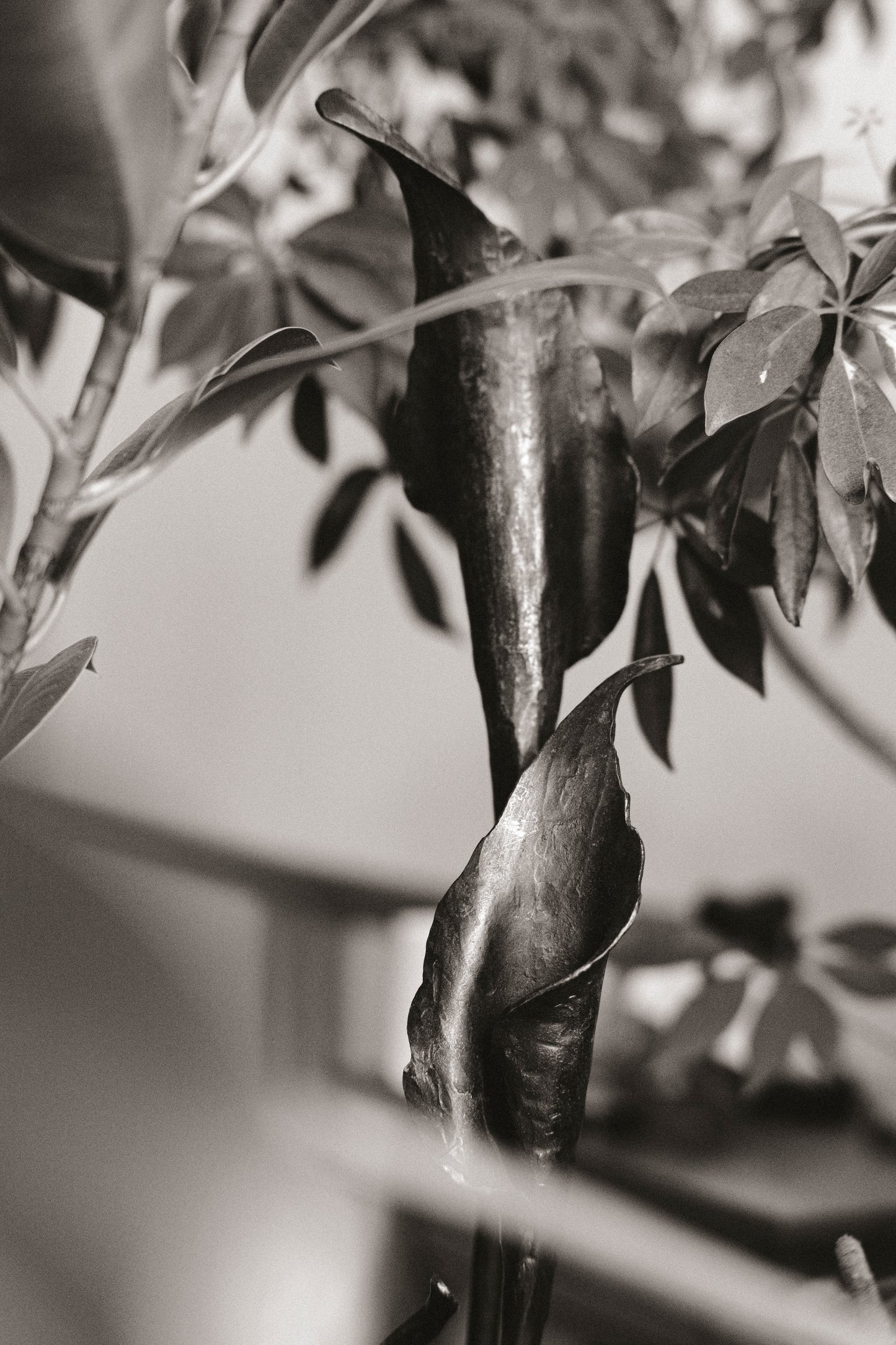 Geschmiedete Blume "Calla"