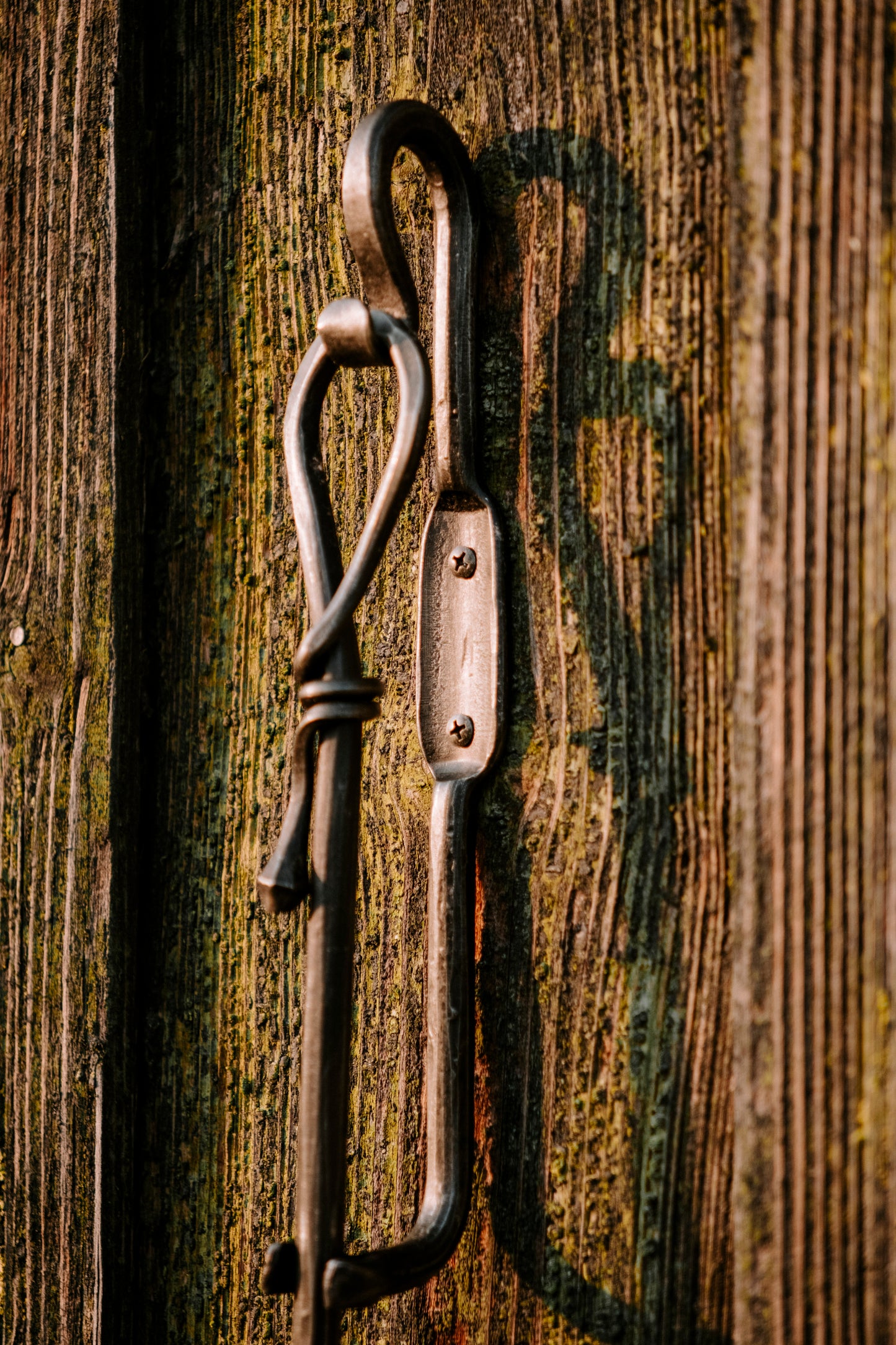 Der Schuhlöffel mit Griff